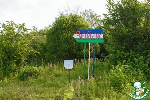 Погода в зуякове