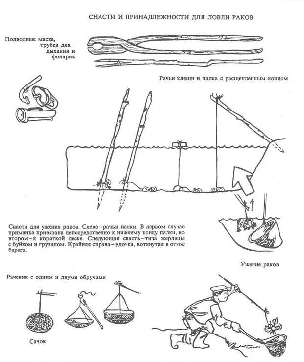 Инструкция как ловить рыбу 7 класс