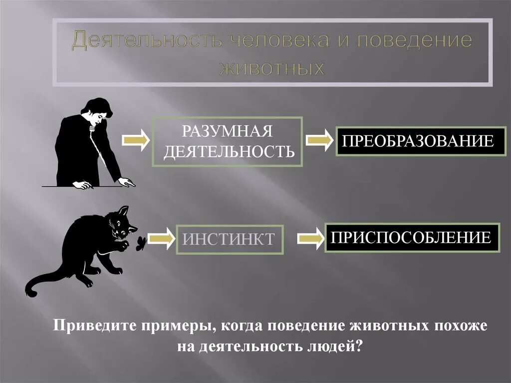 Инстинкт приспособления