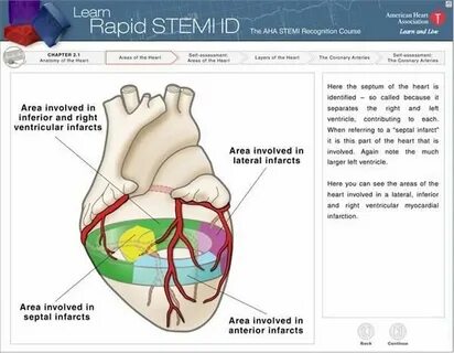 Learn the heart