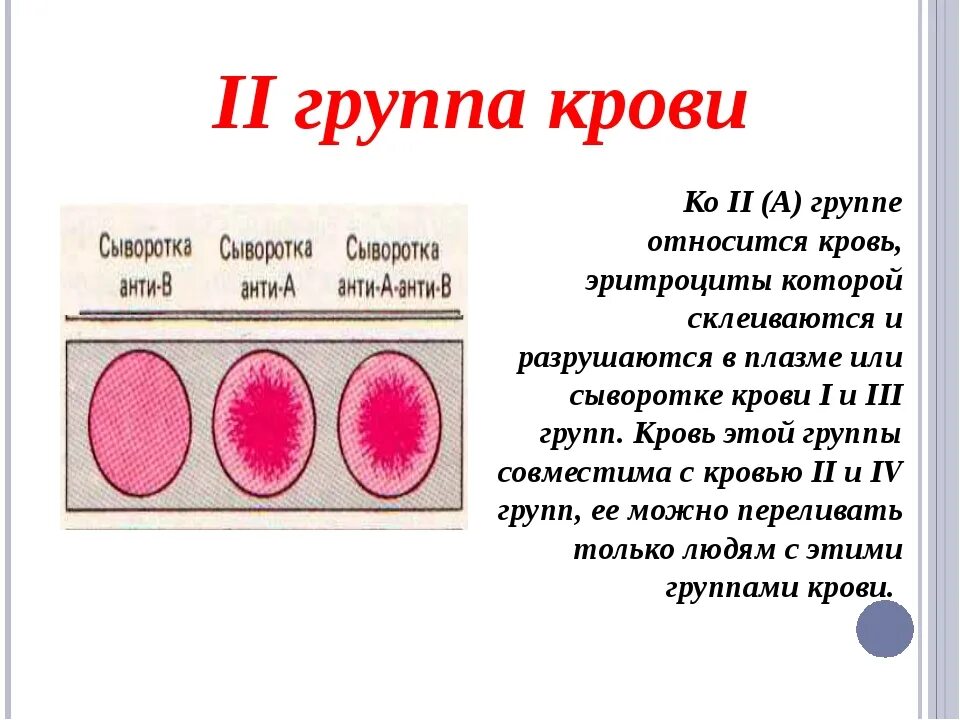 Вторая положительная группа совместимость. Группа крови. Вторая группа крови. 2 Отрицательная группа крови. 2 Отрицательная группа крови редкая.