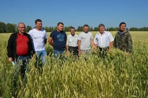 Фермер алтайский край