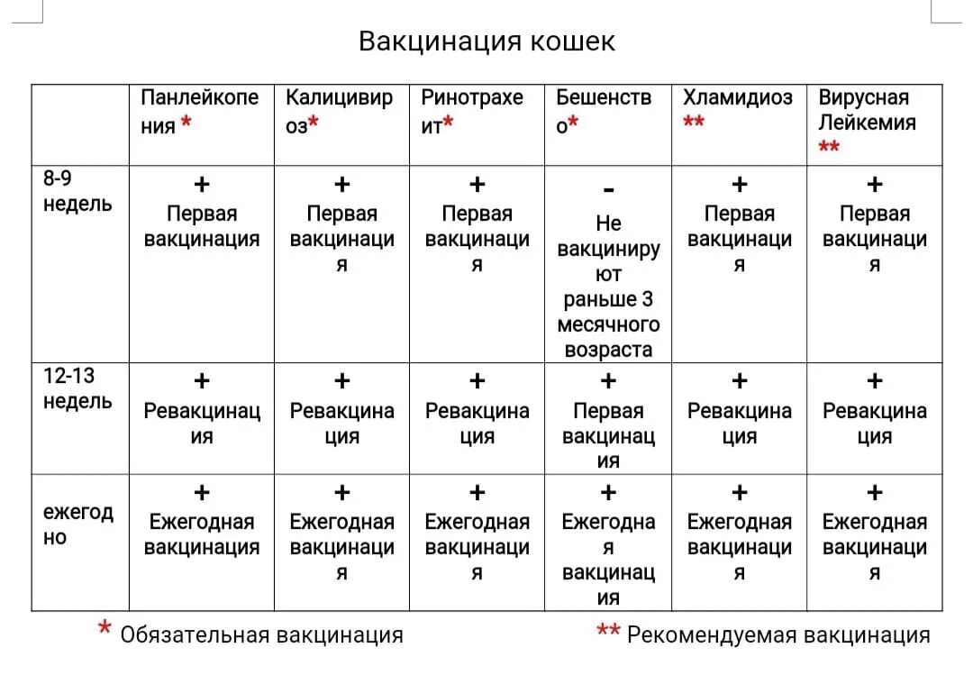 Вакцинация кошек какие. Прививки котов график. График вакцинации кошек. Вакцинация кошек таблица. Схема прививок для котенка.