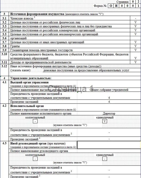 Форма 1 нко 2023 год образец