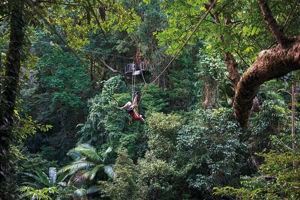 Rainforest Canopy Dwellers. Rainforest Adventure Park, in Sint Maarten. Jungle Canopy. Jungle Canopy Slide. Adventure forest