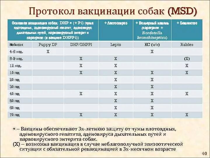 В каком возрасте делают прививку от бешенства