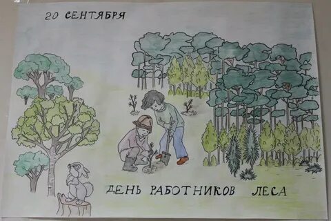 День работы леса
