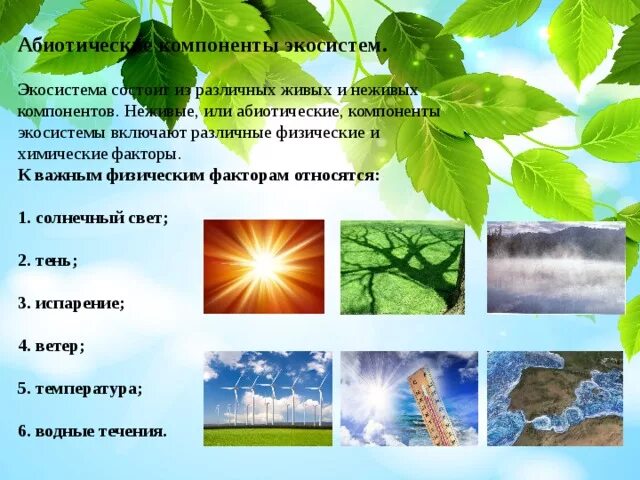 Абиотическое сообщество. Абиотические компоненты биогеоценоза. Абиотические компоненты экосистемы. Абиотические факторы экосистемы. Абиотическая экосистема.