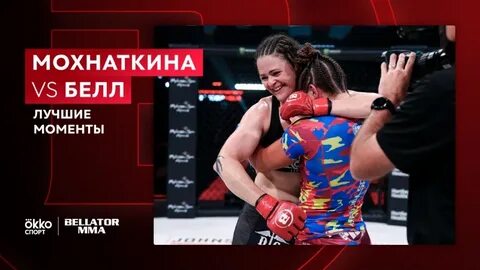 Видео боя мохнаткина