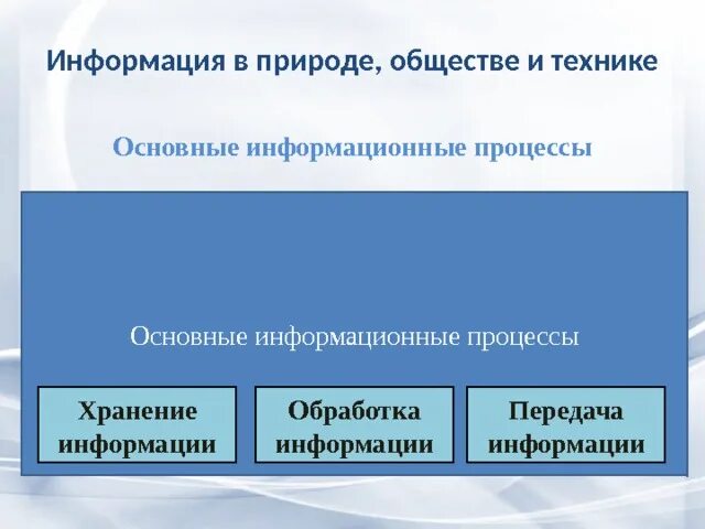 Информация в природе обществе и технике. Информация и информационные процессы в обществе. Информационные процессы в природе обществе и технике. Информация информационные процессы и информационное общество.