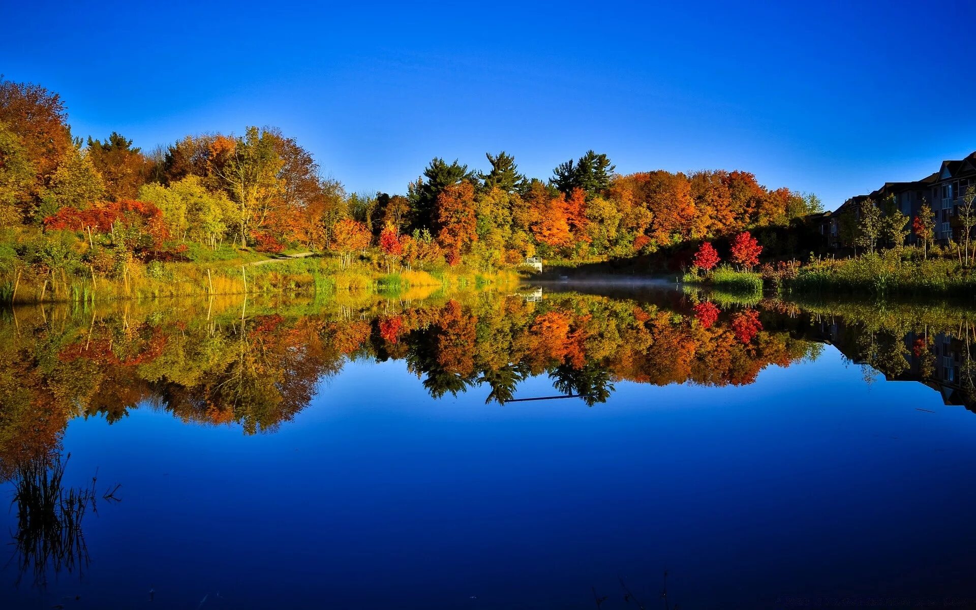 Высокое качество и отличный. Осенний лес с озером. Осень на рабочий стол. Отражение в воде. Экранные заставки осень.