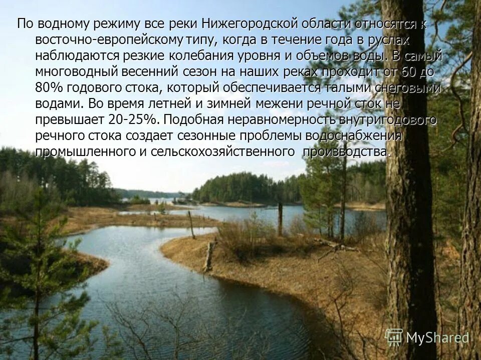 Водные богатства нижегородской области. Пустынские озёра Нижегородская область. Пустынь Арзамасский район озера. Пустынские озера Арзамасского района. Старая пустынь Арзамасский район озера.