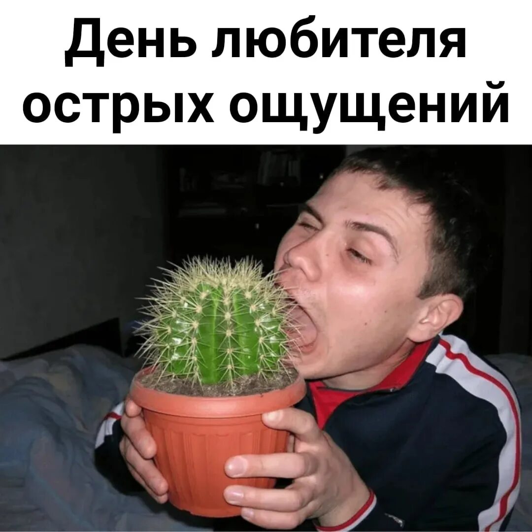 Хочешь острых ощущений