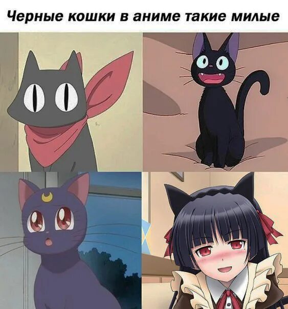 Кошка девочка аниме мем Аниме Amino Amino