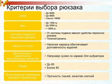 Выборы выборы рюкзаки