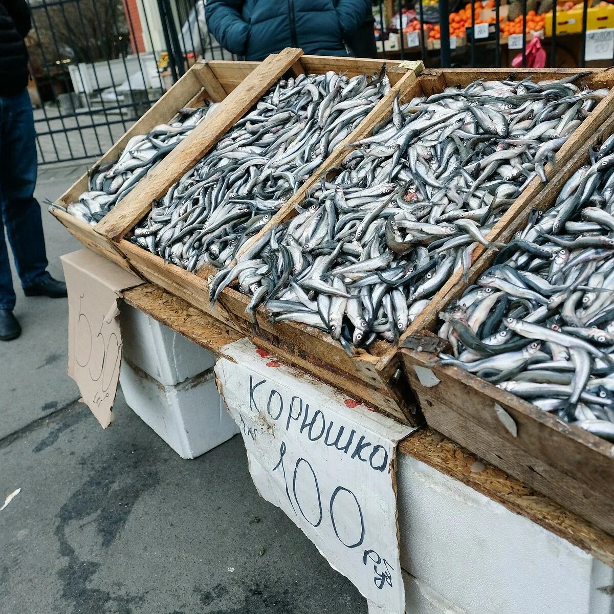 Корюшка санкт петербург где купить недорого. Корюшка Петропавловская крепость. Корюшка Санкт-Петербург. Питерская рыба корюшка. Рыбка корюшка Питер.