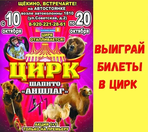 Цирк кинешма лига гранд. Цирк шапито аншлаг. афиша цирка шапито аншлаг. цирк шапито аншлаг программа. объявление цирк шапито аншлаг.