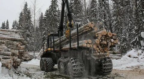 Лесная промышленность архангельской