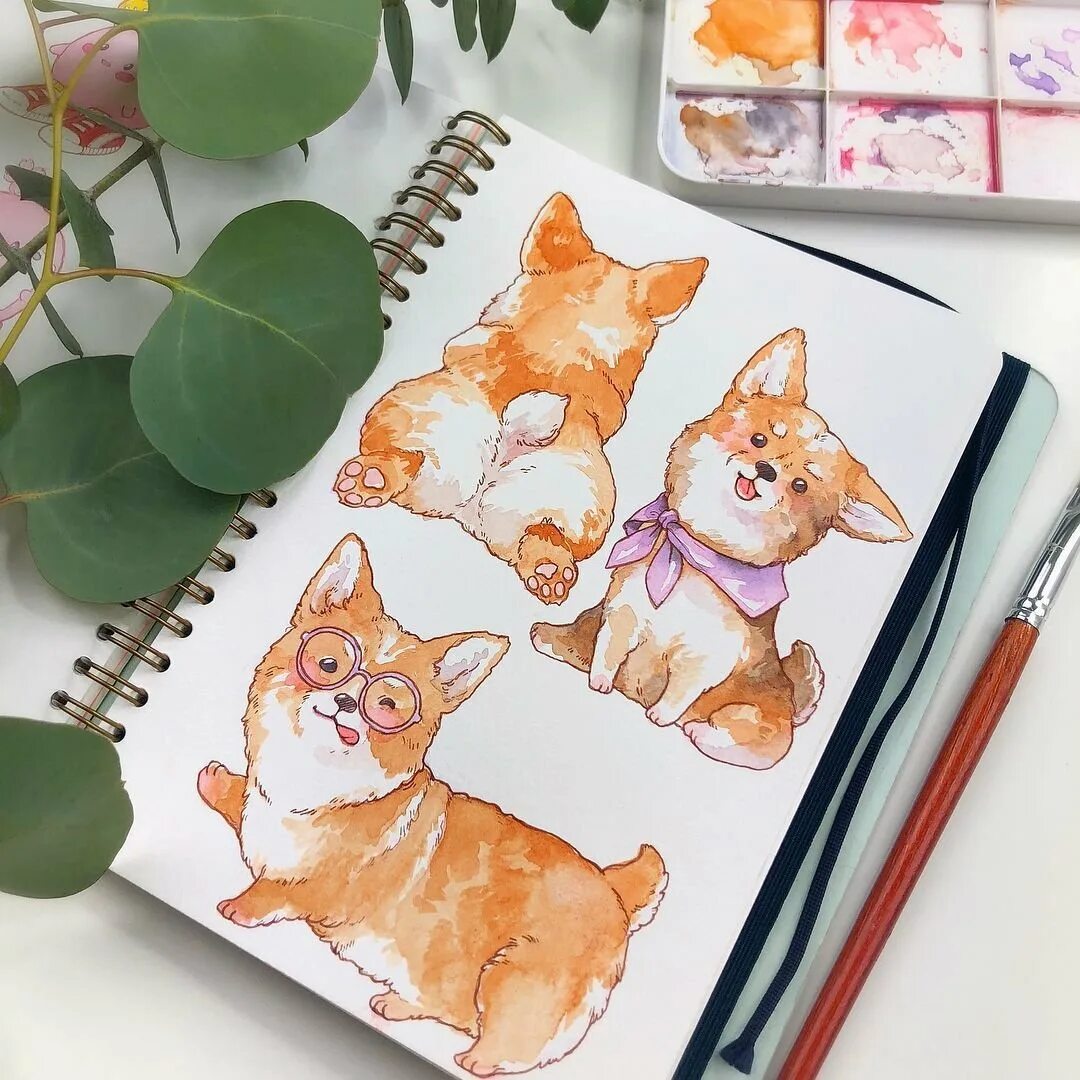 Коты маркерами. Корги скетчинг. вельш корги скетчбук. кот маркерами. скетчбук для рисования с котиками.