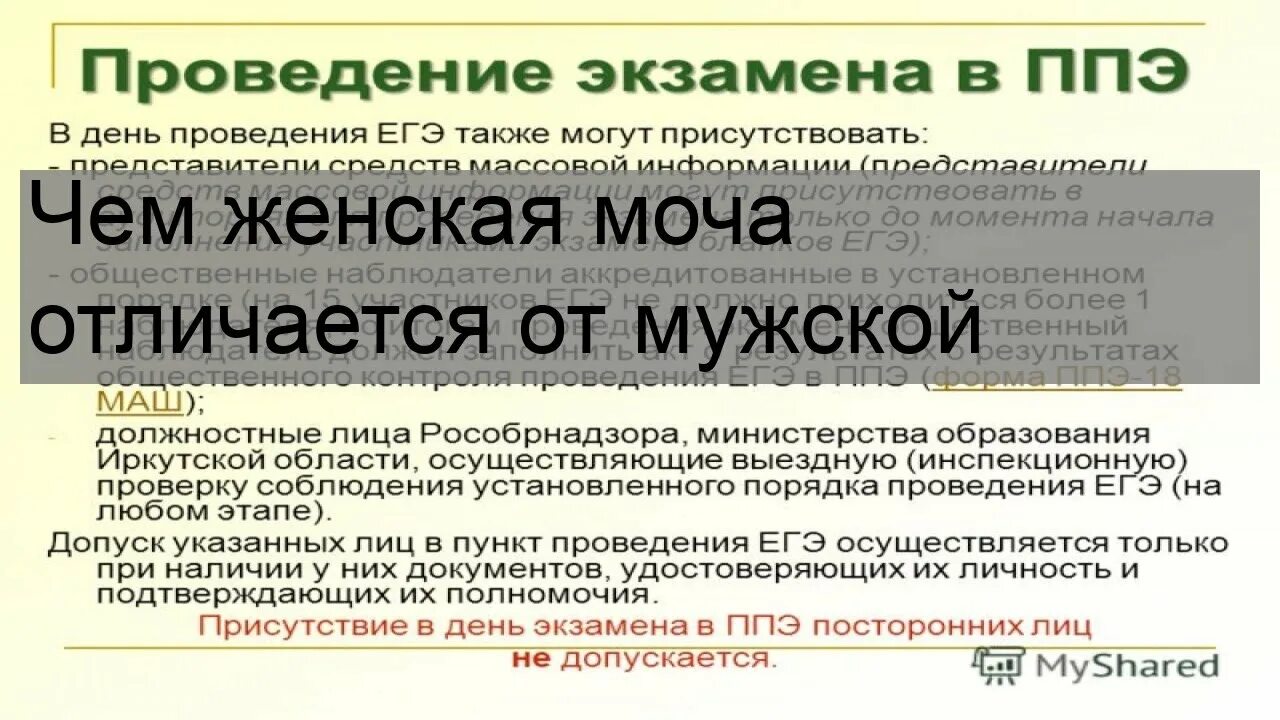 Отличается ли мужская моча от женской