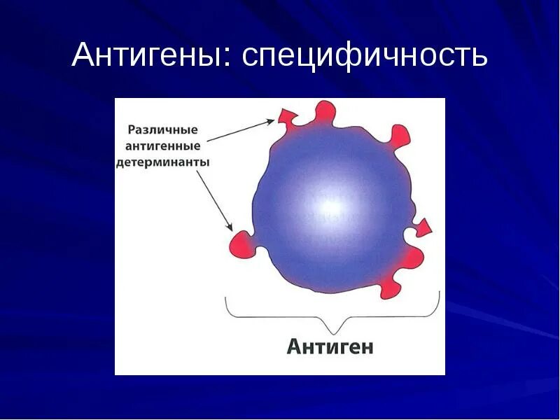 Антиген к что это такое. Специфичность антигена. антиген рисунок. антиген антитело. антигенная специфичность.