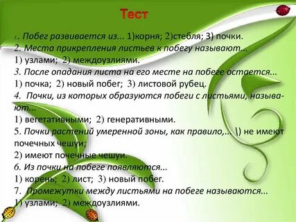 Место прикрепления листа и почки к стеблю