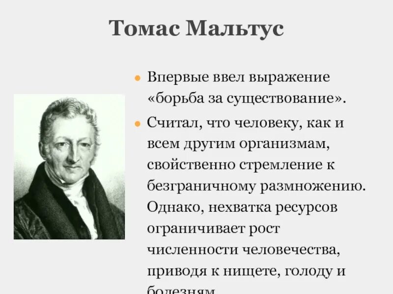 Мальтус научные достижения. Т Р Мальтус произведения и основные научные достижения. Особенно большое развитие получила