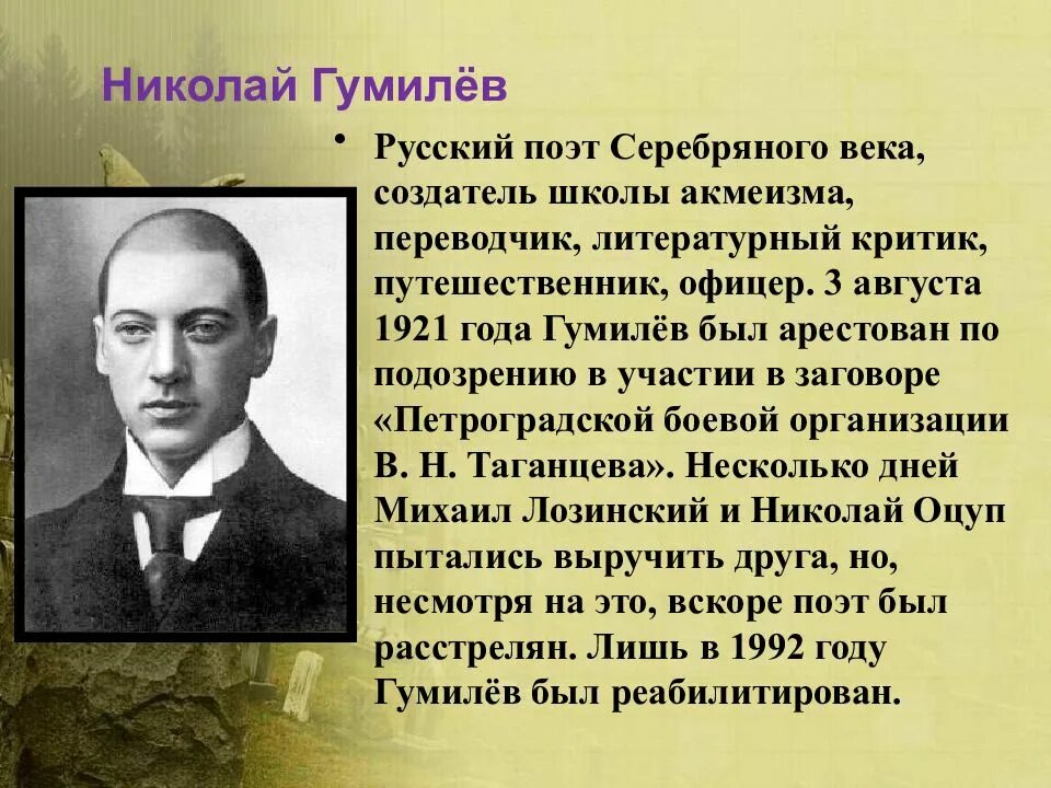 Гумилев ученый и писатель когда изучал особенности