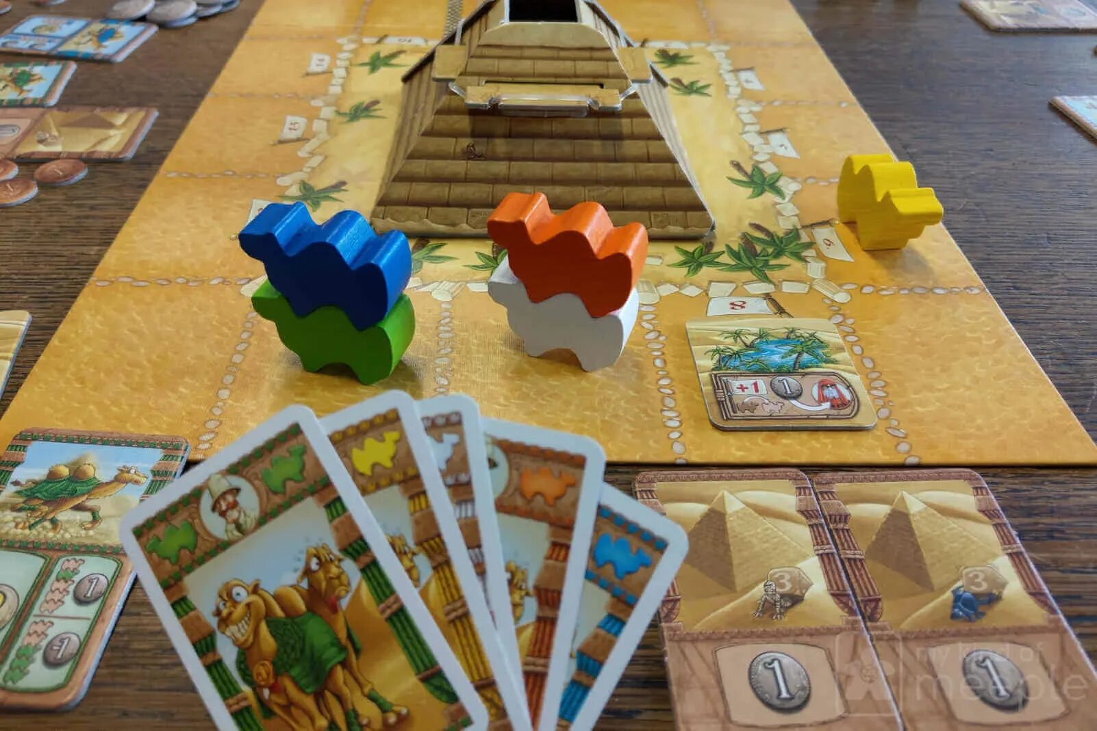 Camel up. Camel up настолка. Деревни настольная игра. Игра кэмел ап. Настольная игра про верблюдов и ставки.