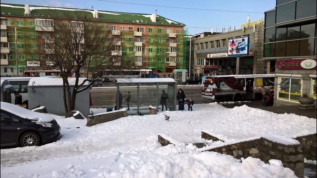 Владивосток засыпало. Зима обработка дорог владивосток. Борьба со снегом. В балахте экскаваторщика засыпало. Владивосток в марте.