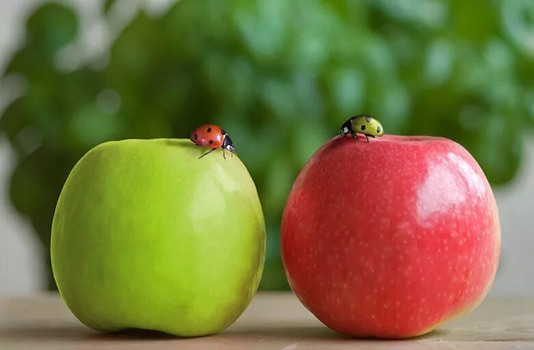 2 яблока. Два яблока. Дальтонизм яблоки. Красное и зеленое яблоко. Яблоко с разным окрасом.