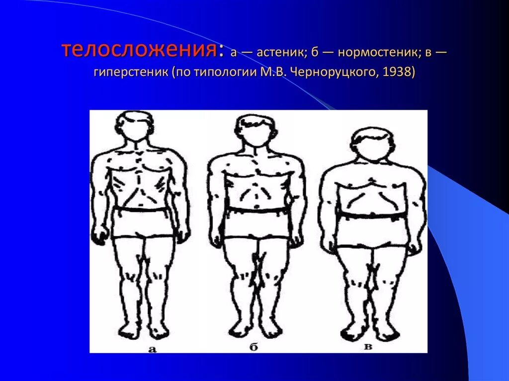 Астеник определить. Типы телосложения астеник.нормостеник.гиперстеник. конституционный тип нормостеник. астенический тип телосложения нормостеник гиперстеник. конституция человека астеник нормостеник гиперстеник.