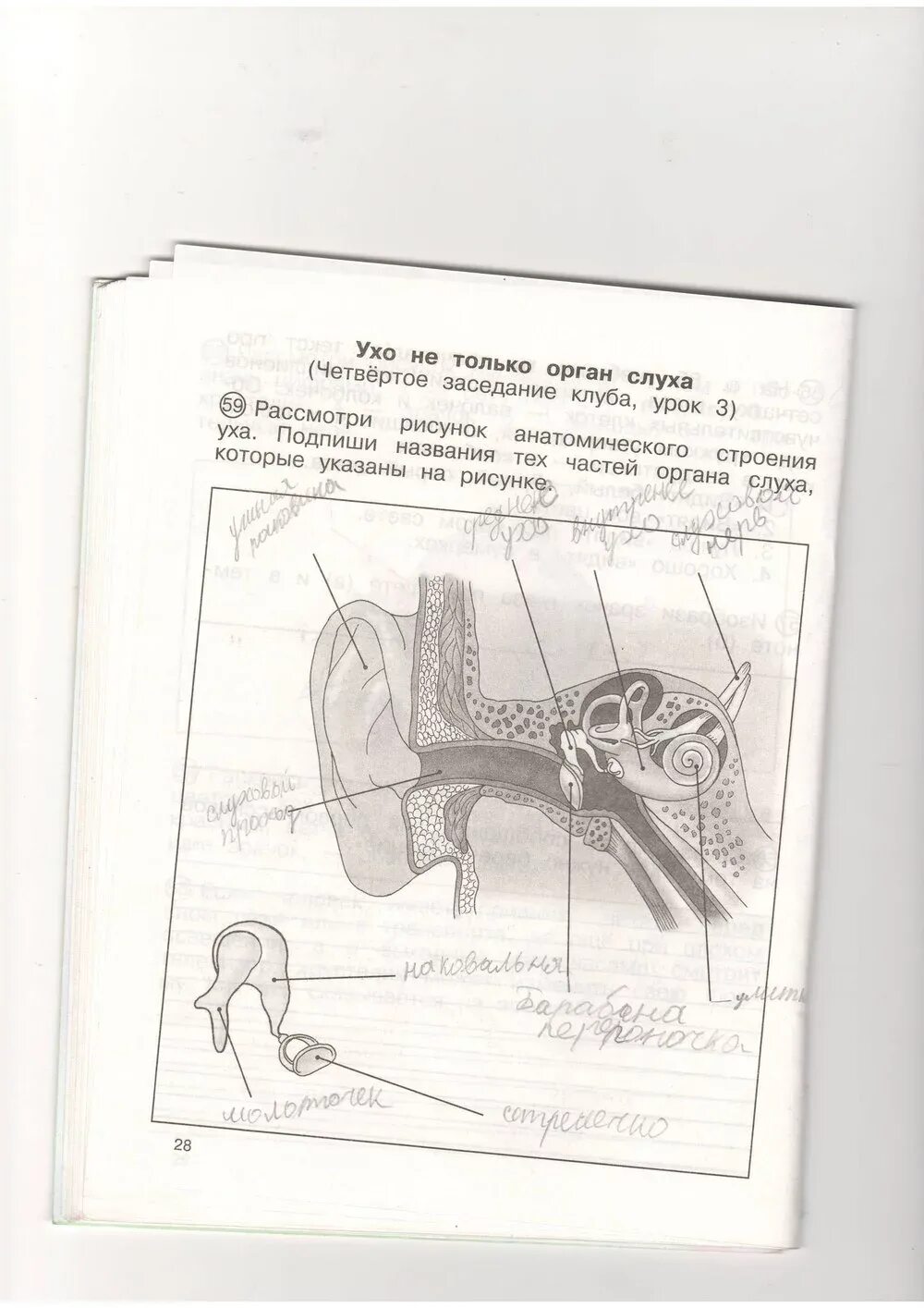 гдз по русскому языку пятый класс страница 16 упражнение 28. рабочая тетрадь упражнение 28. буквы состоящие из следующих элементов. 4. математика с 28 задание 5 6.
