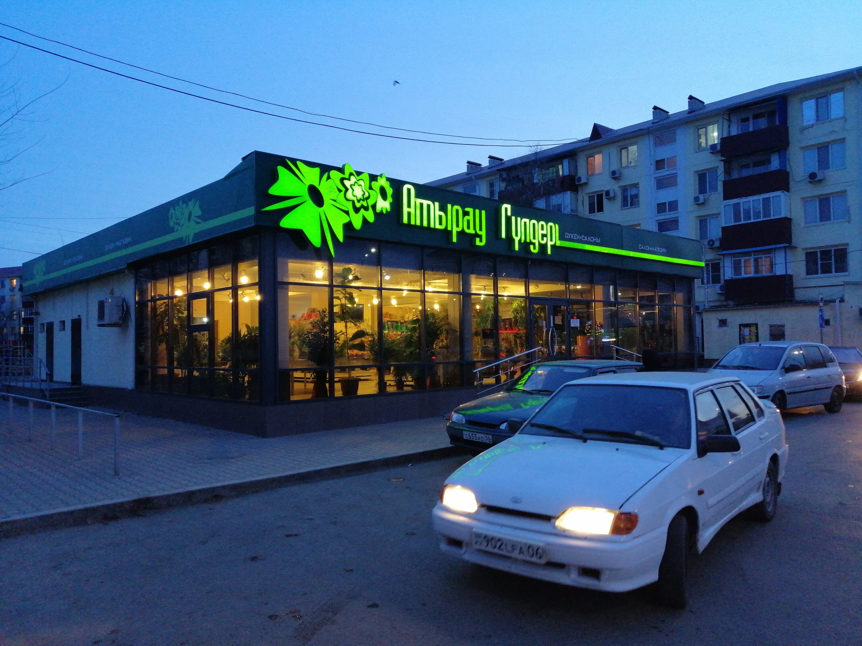 красные огромные розы. цветы атырау. цветы атырау. цветы атырау. цветы атырау.