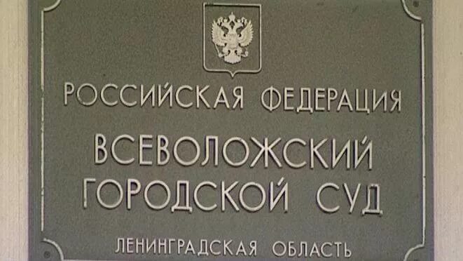 Сайт лужского городского суда ленинградской. Всеволожский суд. Всеволожский районный суд Ленинградской области. Всеволожский городской суд ЛО.