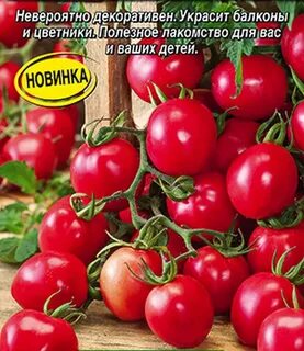 Томат гирлянда