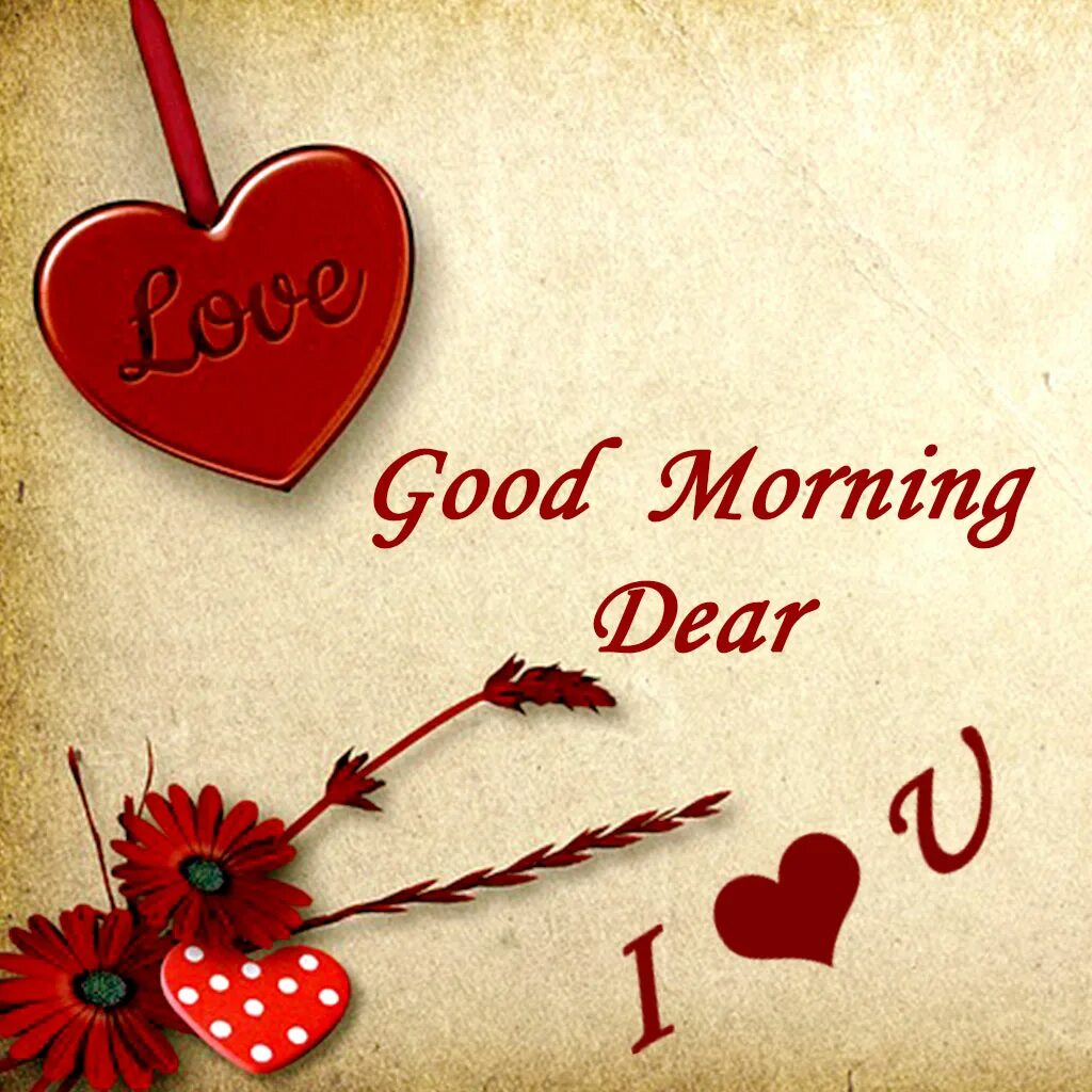 Good morning my