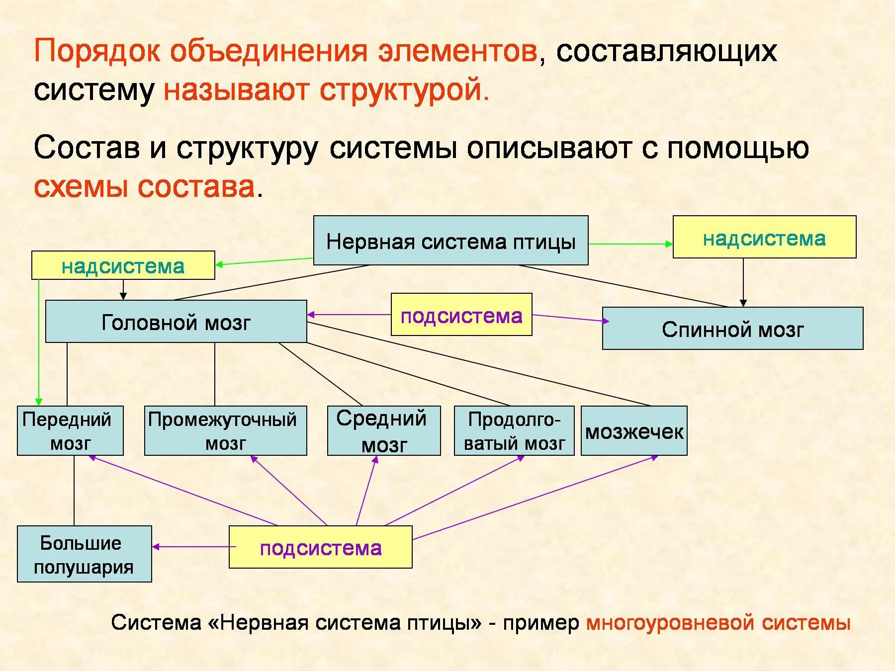 Главный элемент составляющий. Системы объектов Информатика 6 класс. Порядок объединения элементов составляющих систему это. Системы объектов. Структура системы примеры.