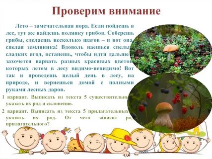 Текст поляна в лесу