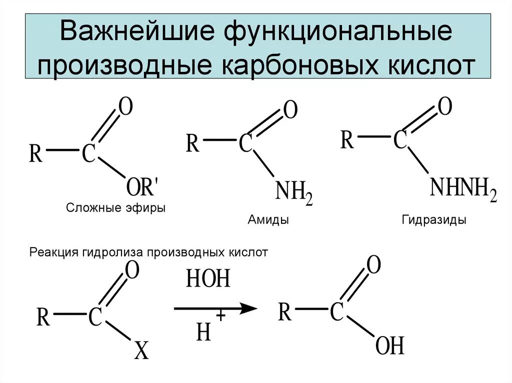 Функциональные производные карбоновых кислот амиды. Функциональные производные карбоновых кислот. Электронное строение производных карбоновых кислот. Функциональные производные карбоновых кислот. . Ангидриды.. Карбоновая кислота температура