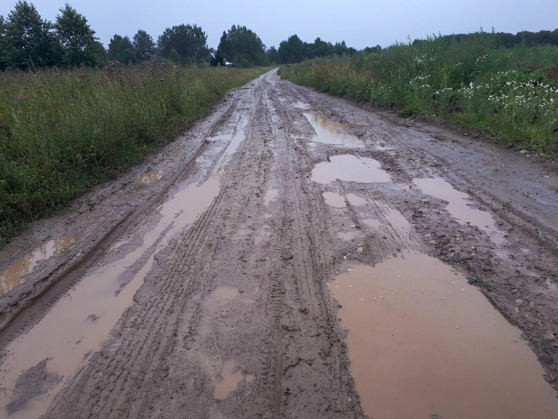 В каком состоянии находится дорога. Дорога до. плохие дороги томск. дорога на кедровый летом. дорога кедр.