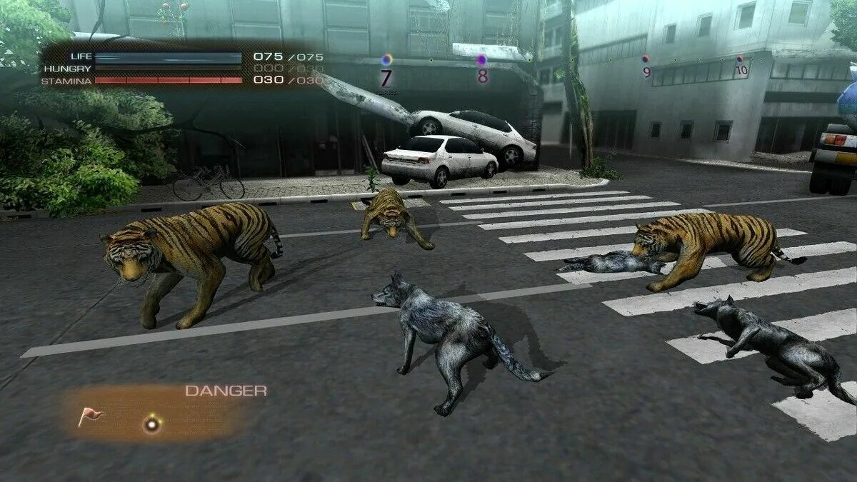 Tokyo Jungle ps3. Игра на пс3 Tokyo Jungle. Tokyo Jungle на PC. Игры за животных на ПК. Игра про токийских