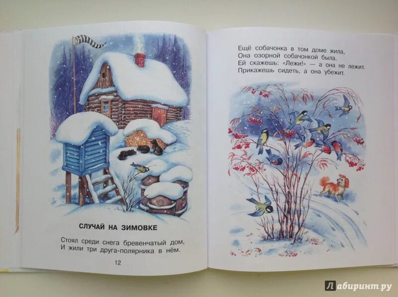 Был случай стихотворение. Стихотворение случай на зимовке. Иллюстрация к стихотворению Михалкова случай на зимовке. Михалков снег. Случай на зимовке Михалков.
