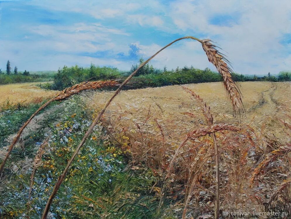 Пшеница на картинах художников. Холстина на поле. Пшеничное поле картина СССР. Field 30
