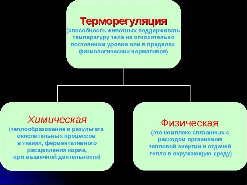 Типы терморегуляции. Регуляция температуры тела у животных. Терморегуляция млекопитающих. Механизм терморегуляции животных.