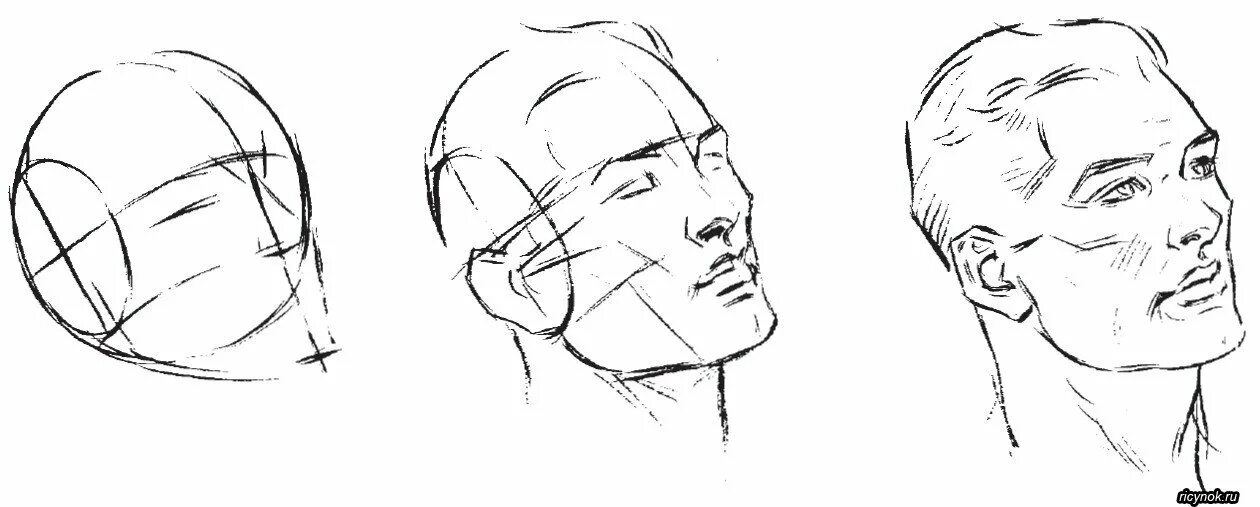 Голова человека профиль и анфас. Лицо человека карандашом. Референсы головы снизу. Рыжкин голова человека. Наброски мужской головы.