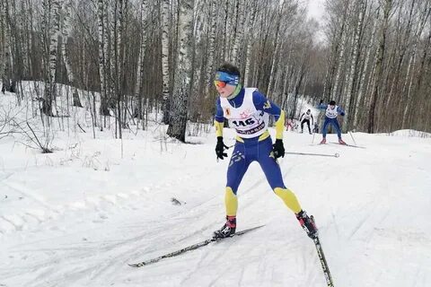 Спорт ярославская область