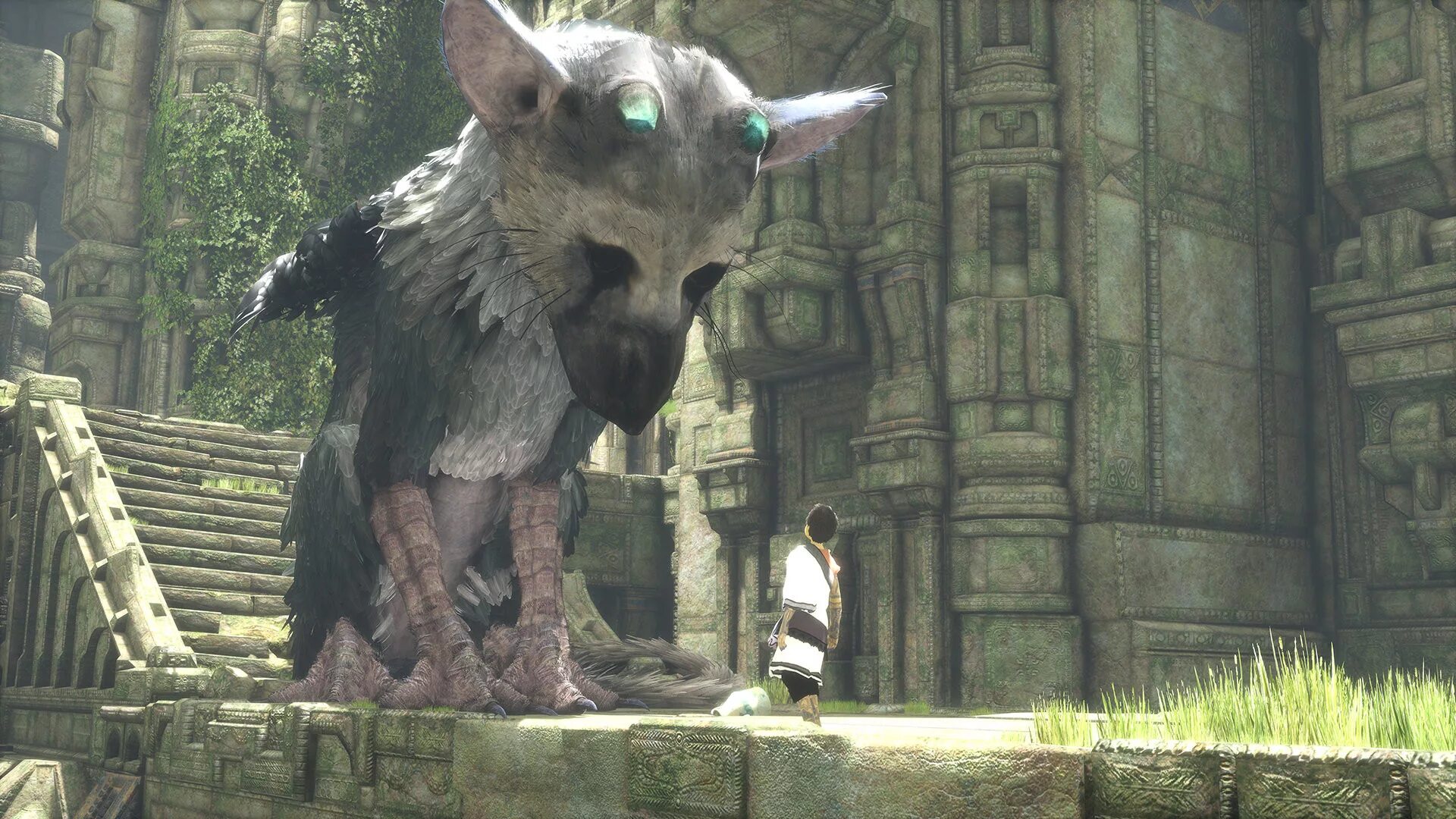 Ласт гардиан. Трико the last Guardian. Игра the last Guardian. The last Guardian ps4. The last Guardian последний хранитель ps4.