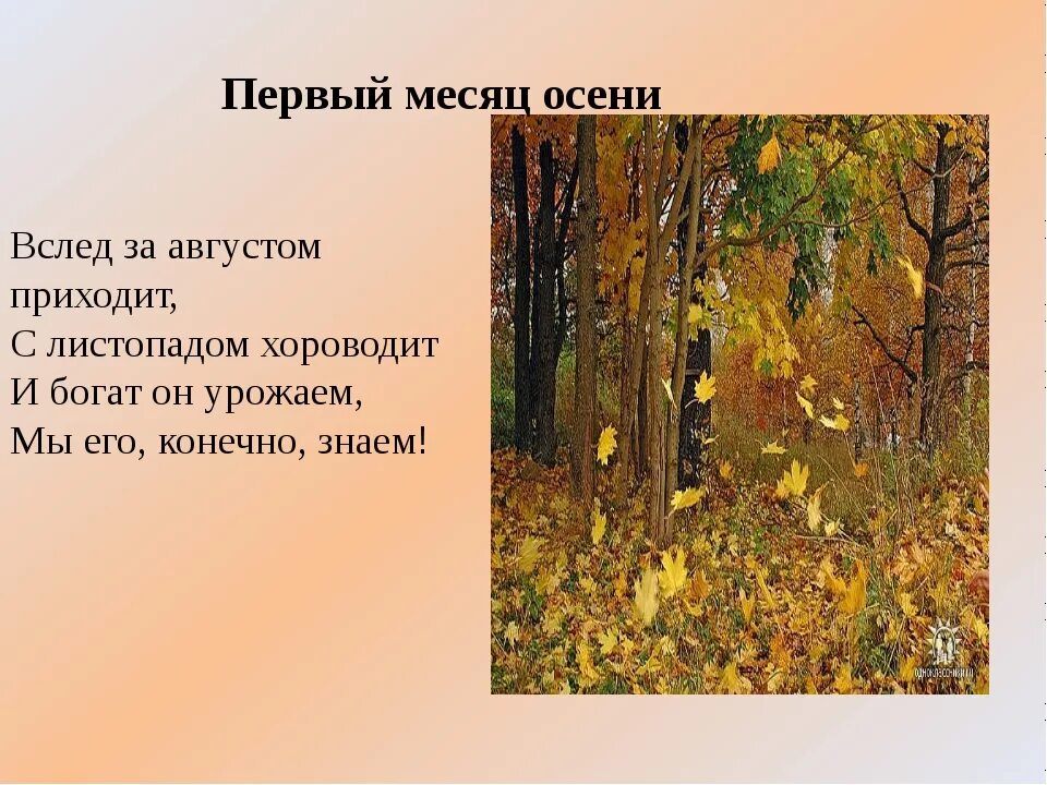 Приметы листопада. Осенние приметы. народные приметы осени. вслед за августом приходит с листопадом. 5 народных примет об осени.
