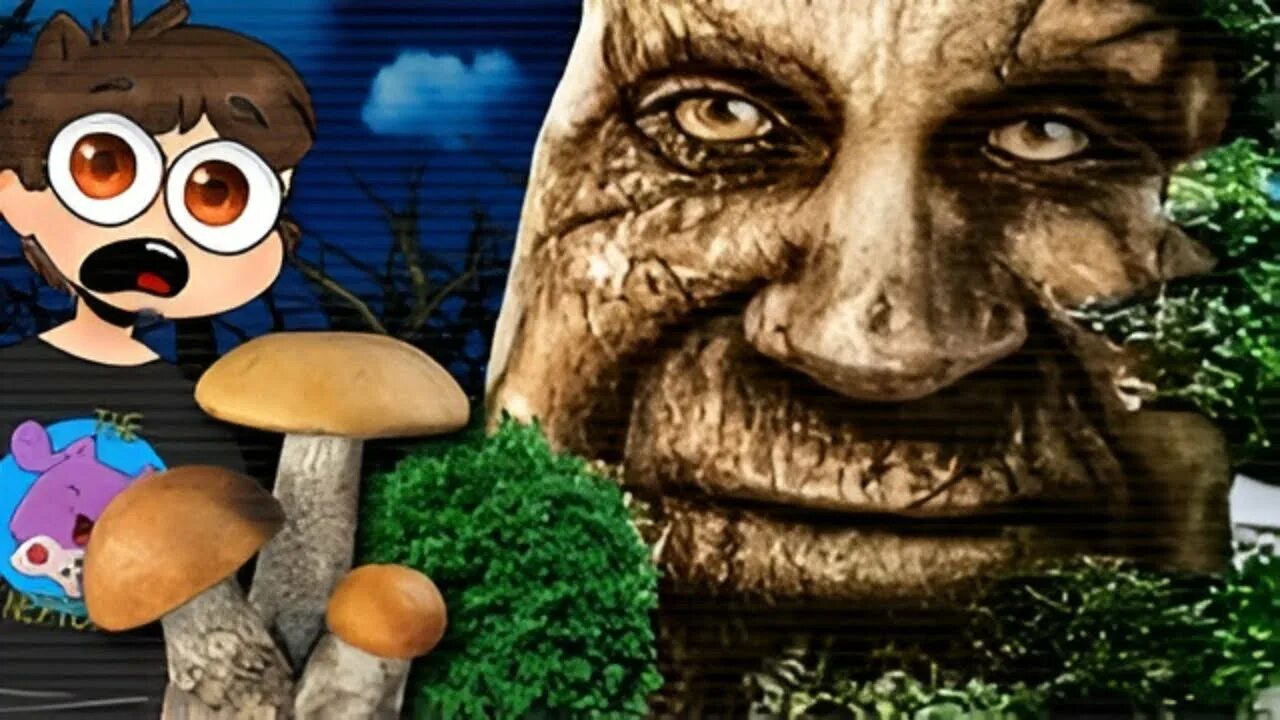 The curse of the wise tree. The curse of the wise tree